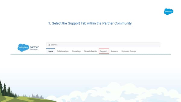 How To Log A Case In The Partner Community - Page 3