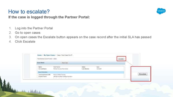 How And When To Escalate A Case - Page 4