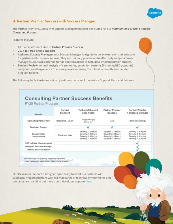Consulting Partner Program Success Plans - Page 2