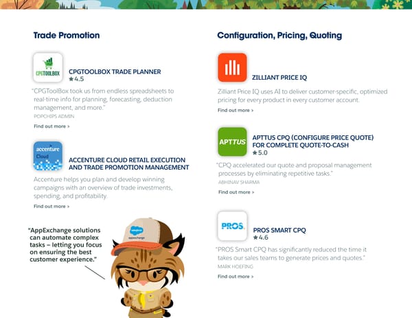 Salesforce Consumer Goods App Guide - Page 9