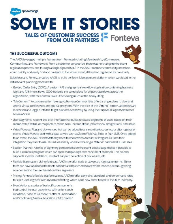 Solve It Stories - Fonteva - Page 2