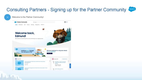 Partner Community User Guide - Page 17