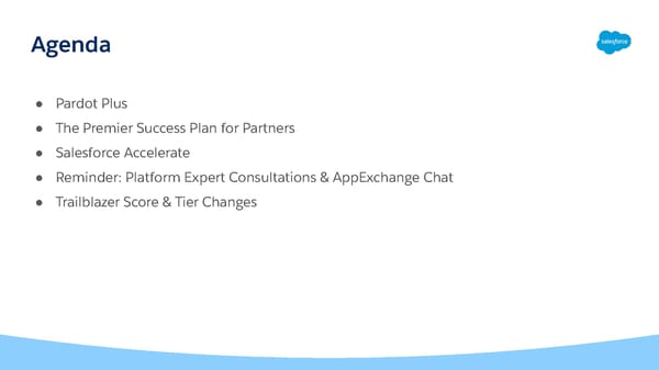 FY23 Salesforce Partner Program Launch Deck - Page 6