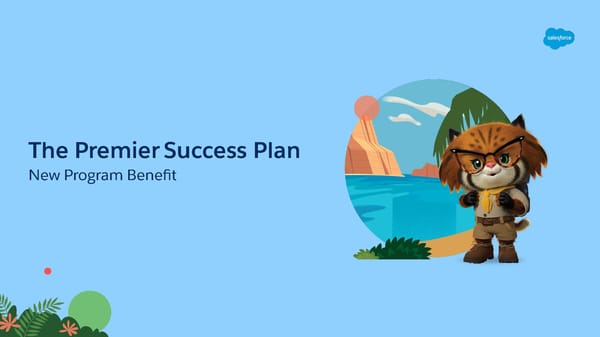 FY23 Salesforce Partner Program Launch Deck - Page 10