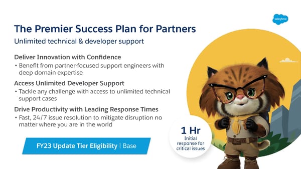 FY23 Salesforce Partner Program Launch Deck - Page 11