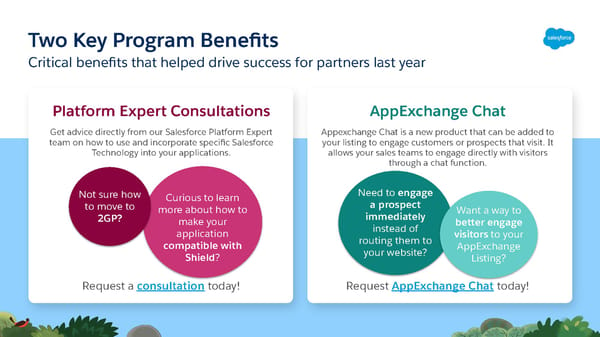 FY23 Salesforce Partner Program Launch Deck - Page 17