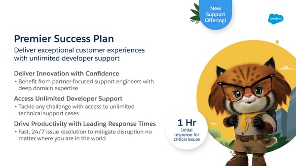 The Premier Success Plan for Salesforce Partners - Page 3