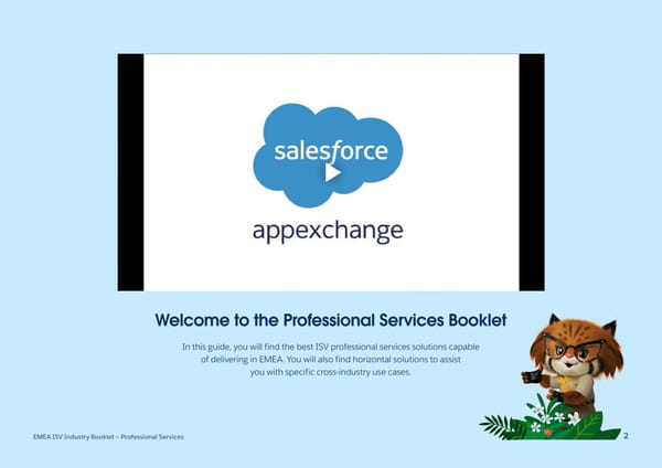 Salesforce ISV Industry Booklet - Professional Services - Page 2